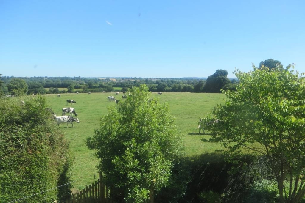 Clévacances H7019 > Le Papillon, Le Mesnil-Amey - photo 10