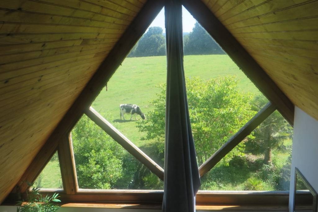 Clévacances H7019 > Le Papillon, Le Mesnil-Amey - photo 11