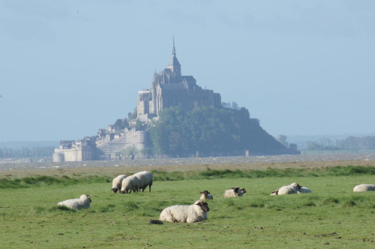 Clévacances H7062 : Le Logis des Prés Salés, Genêts - photo 57