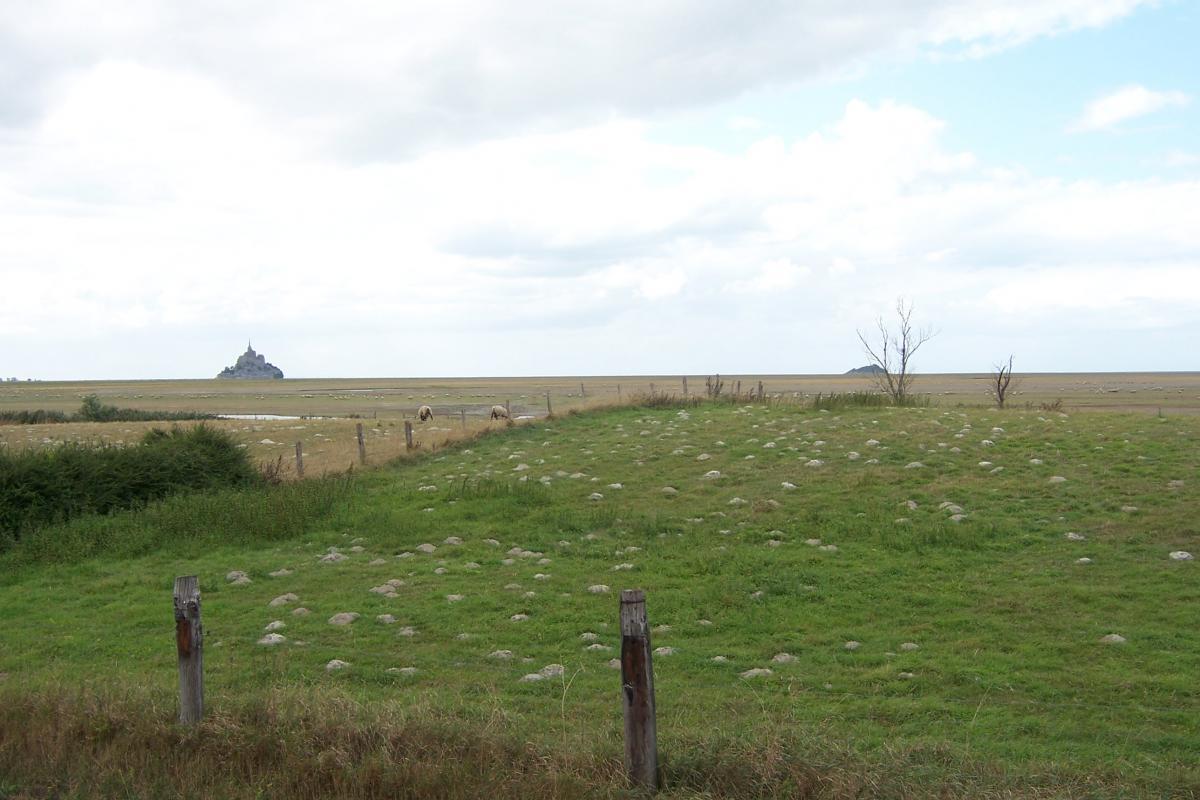 Meublé de tourisme H777003 : de la Ferme Ruette, Courtils - photo 76