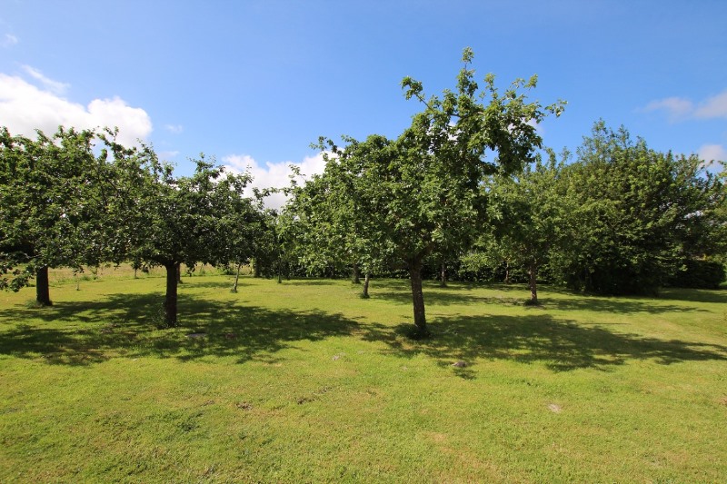 Clévacances H8235 > La Goutte, Courtils - photo 2
