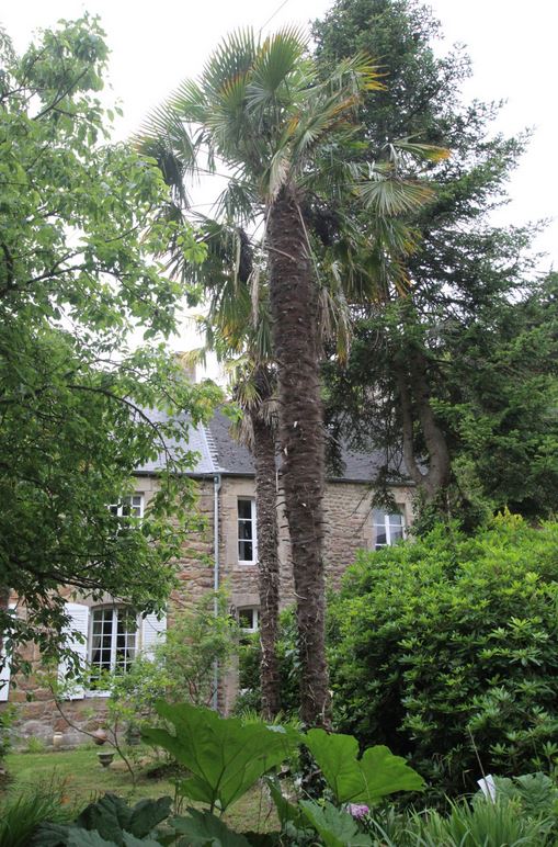 Meublé de tourisme > Le Presbytère