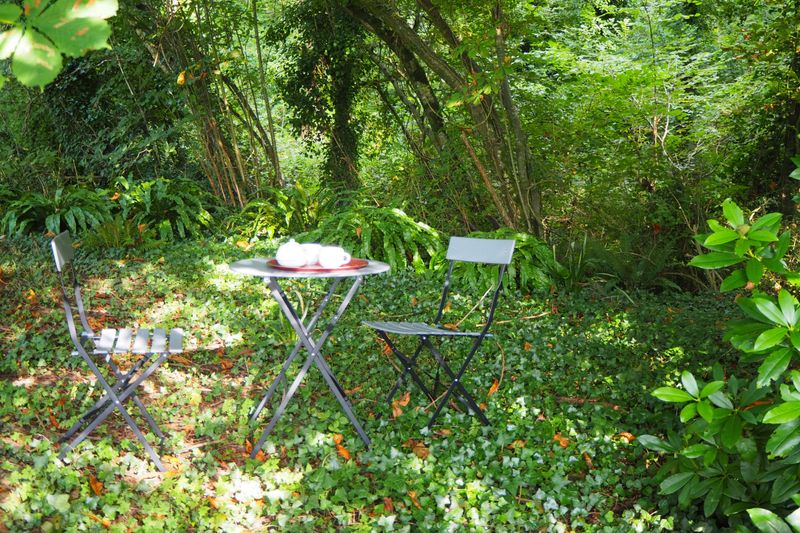 Clévacances H8349 > Le Bois aux Ecureuils, Fierville-les-Mines - photo 13