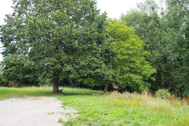 Clévacances H8349 > Le Bois aux Ecureuils, Fierville-les-Mines - photo 7