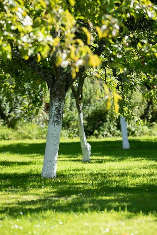 Clévacances H8395 > Le Domaine de la Vallée, Saint-Martin-de-Varreville - photo 12
