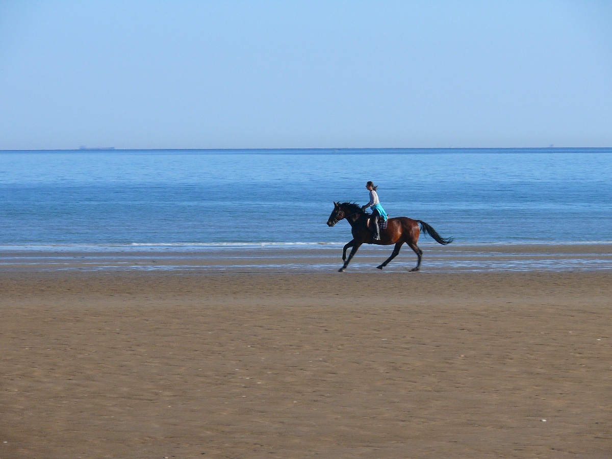La Ferme Manoir Saint Barthelemy, Juaye-Mondaye - photo 13