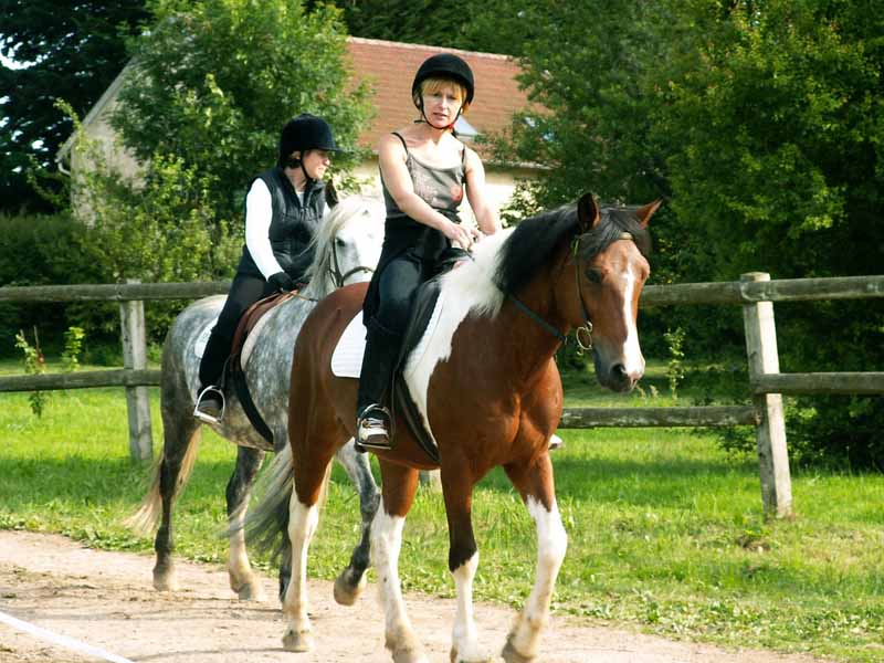 L'Etrier Cherbourgeois Haras de Siva, Tollevast