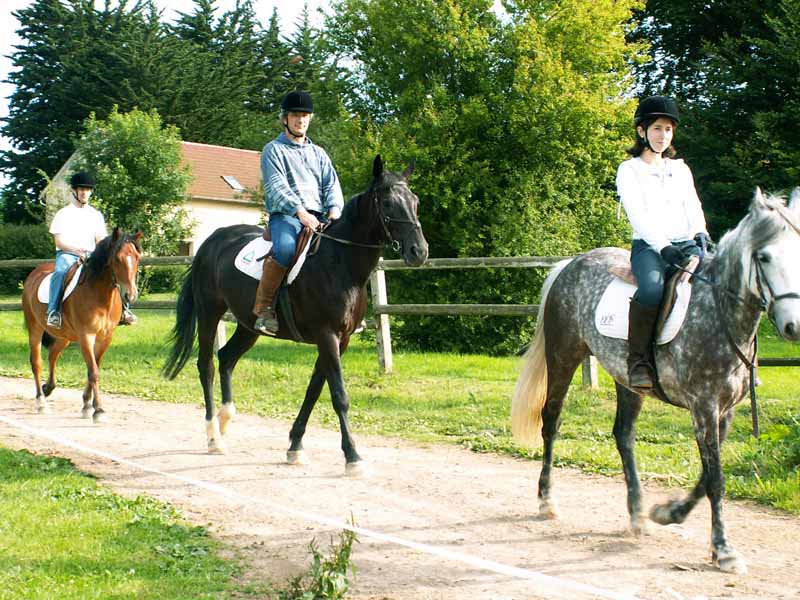 L'Etrier Cherbourgeois Haras de Siva, Tollevast - photo 3