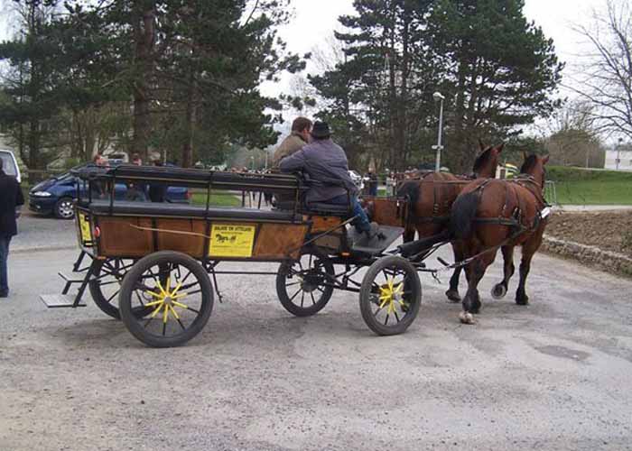 Calèches de la Bredaine, Montmartin-sur-Mer - photo 11