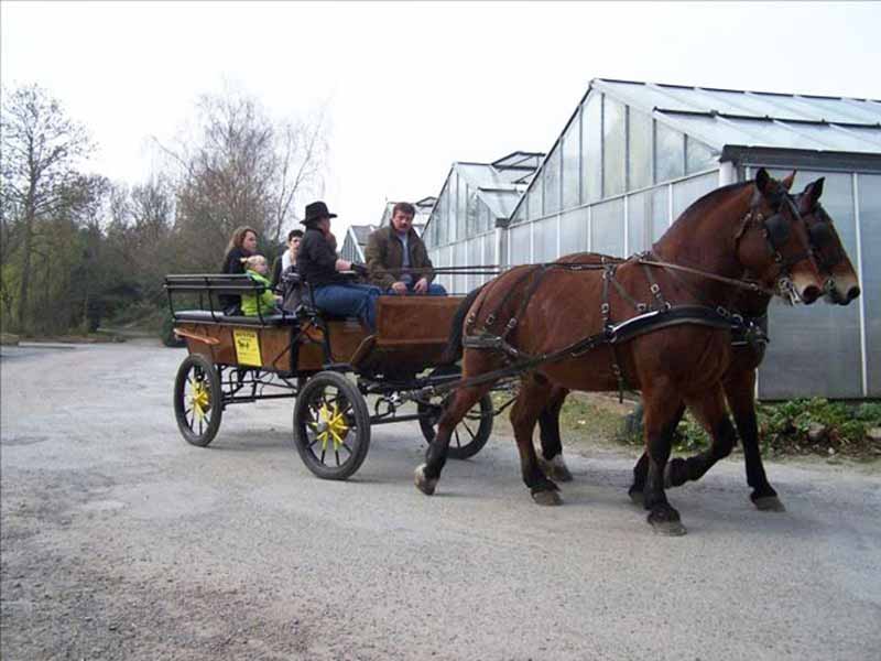 Calèches de la Bredaine, Montmartin-sur-Mer - photo 6