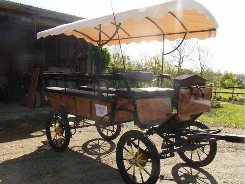 Calèches de la Bredaine, Montmartin-sur-Mer - photo 5