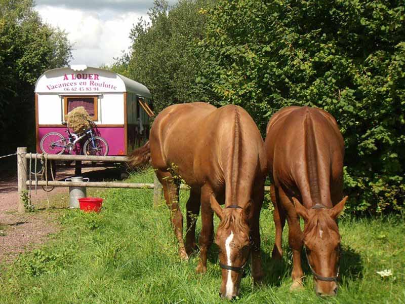 Calèches de la Bredaine, Montmartin-sur-Mer