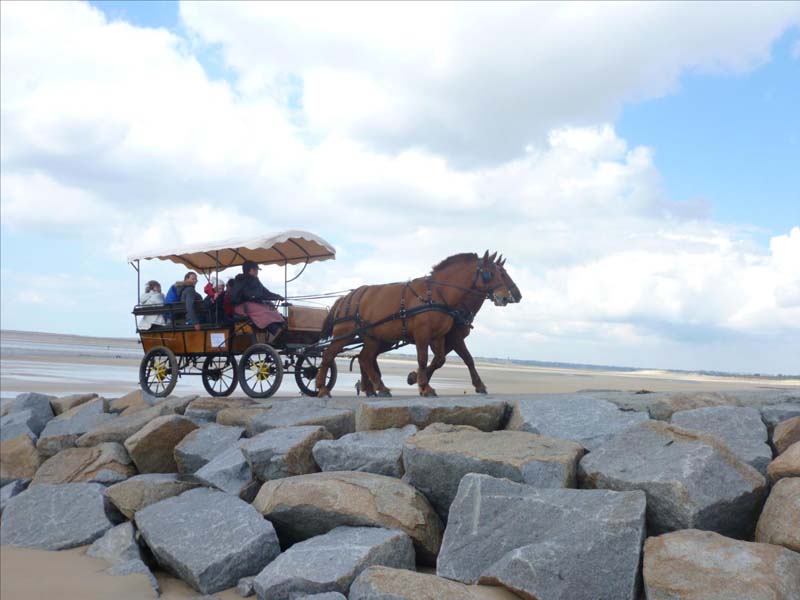 Calèches de la Bredaine, Montmartin-sur-Mer - photo 4