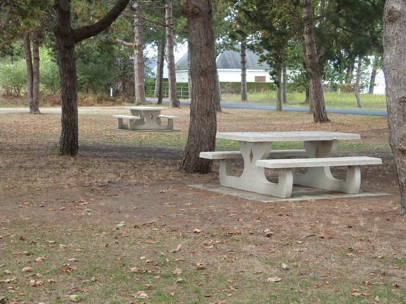 Aire de pique-nique > Avenue de l'Aumesle - photo 5