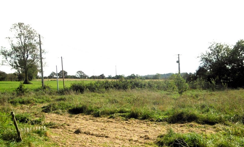 Jacqueline - La caravane du pré