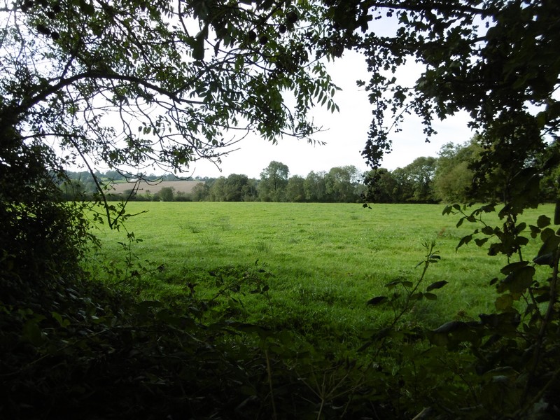 Jacqueline - La caravane du pré — photo 3