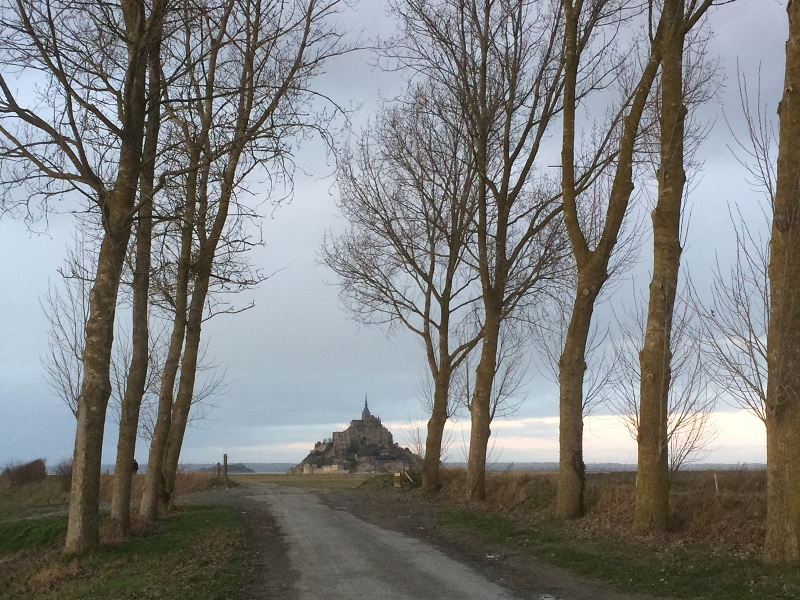 Arbre Etoilé - Myriam - Relaxation et Marche Afghane