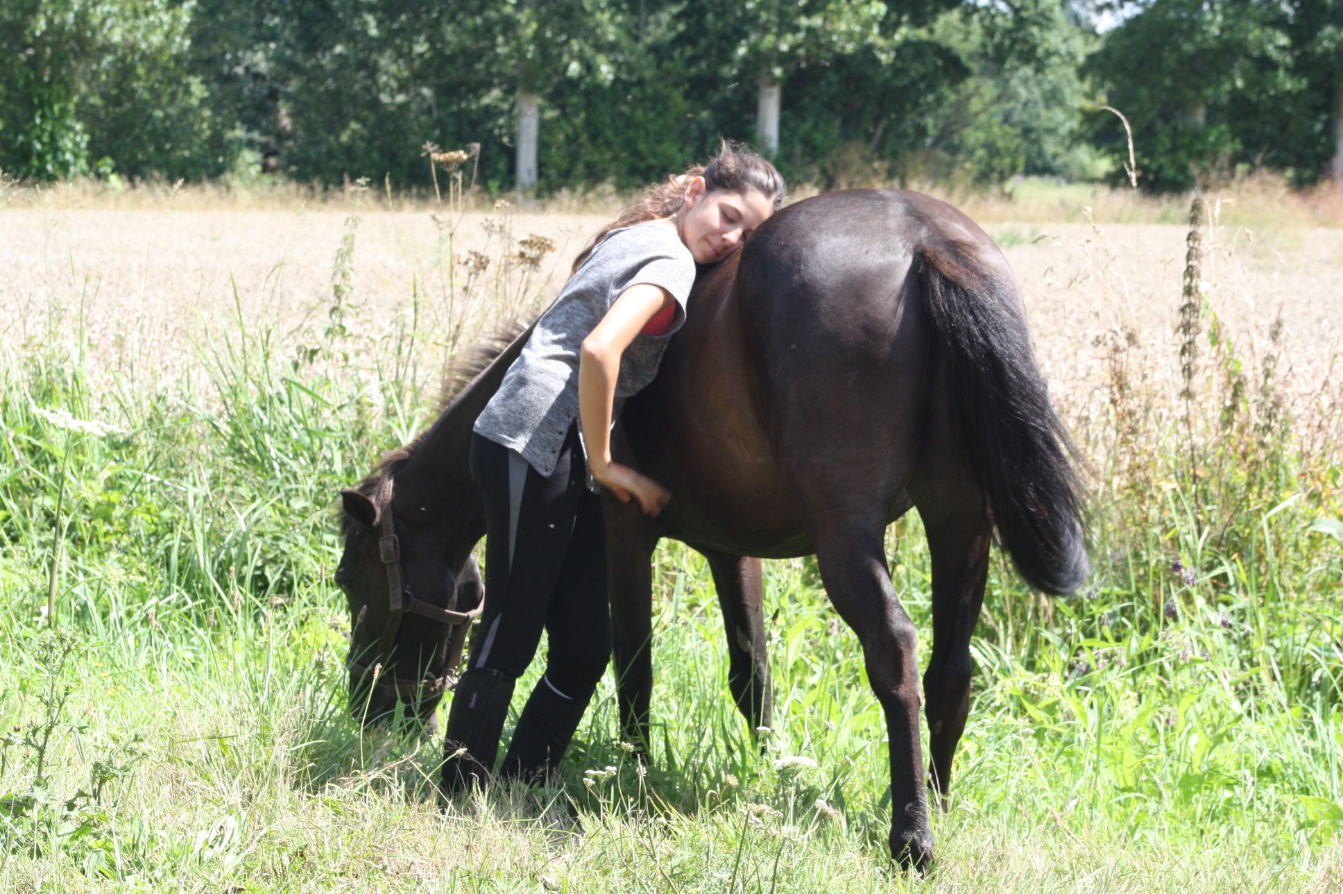 BALADE EQUESTRE EN FAMILLE OU ENTRE AMIS (les Louveaux), Le Molay-Littry - photo 8