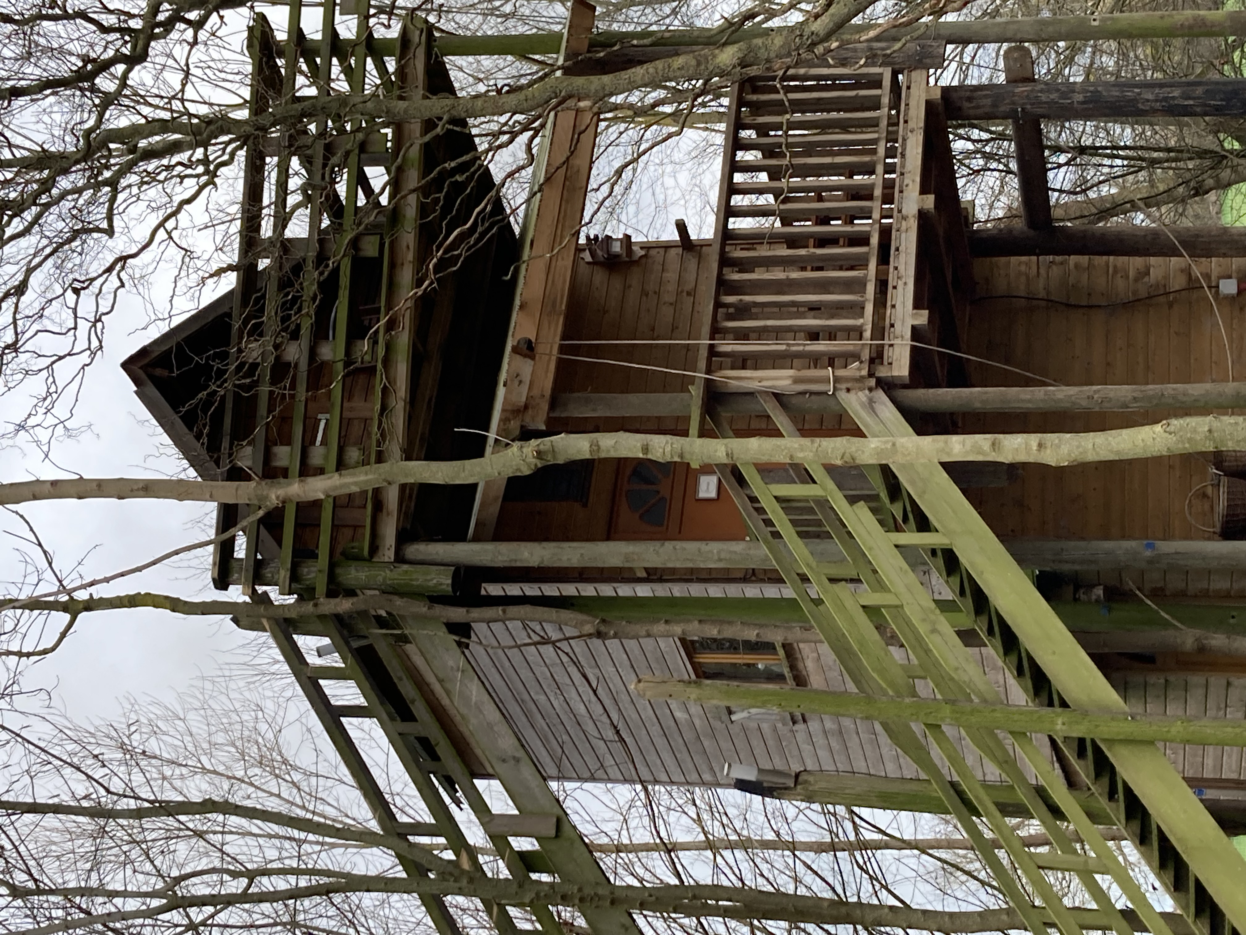 Cabane de charme "dans les airs" — photo 3