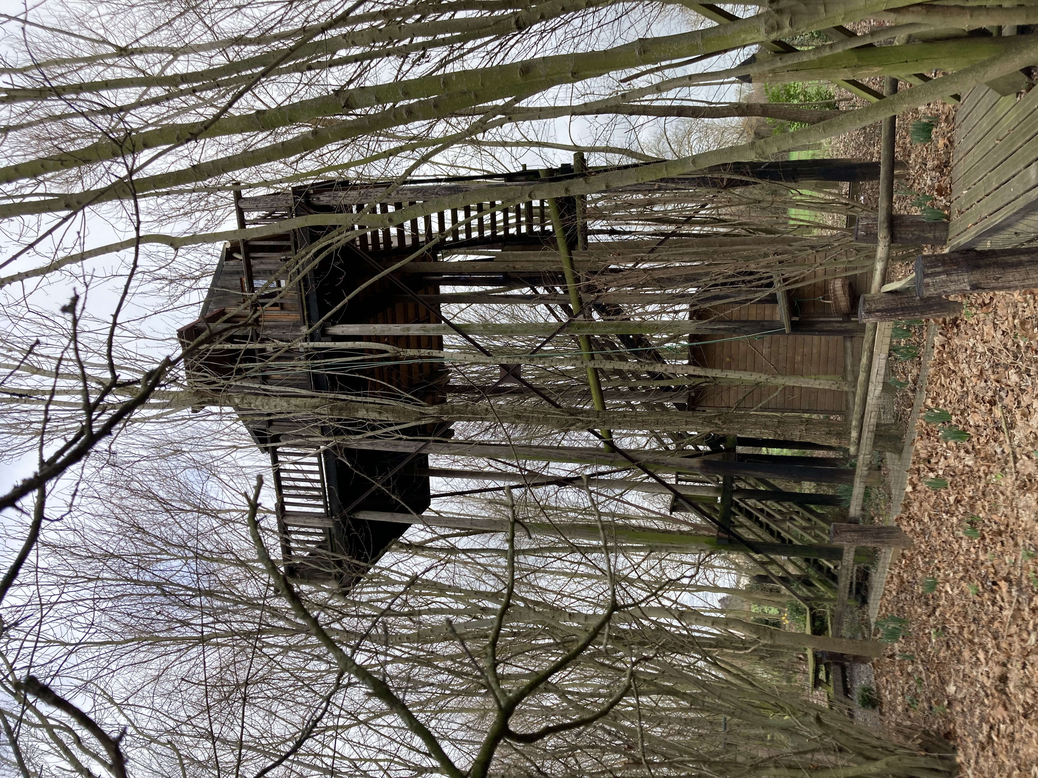 Cabane de charme "dans les airs"