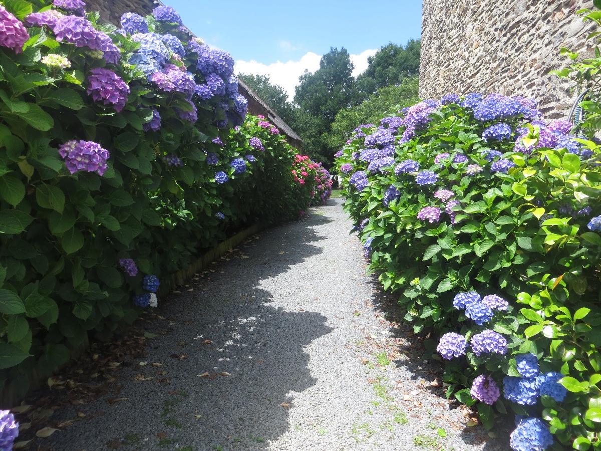 Gîte le petit nid à Livry, Caumont-sur-Aure - photo 3