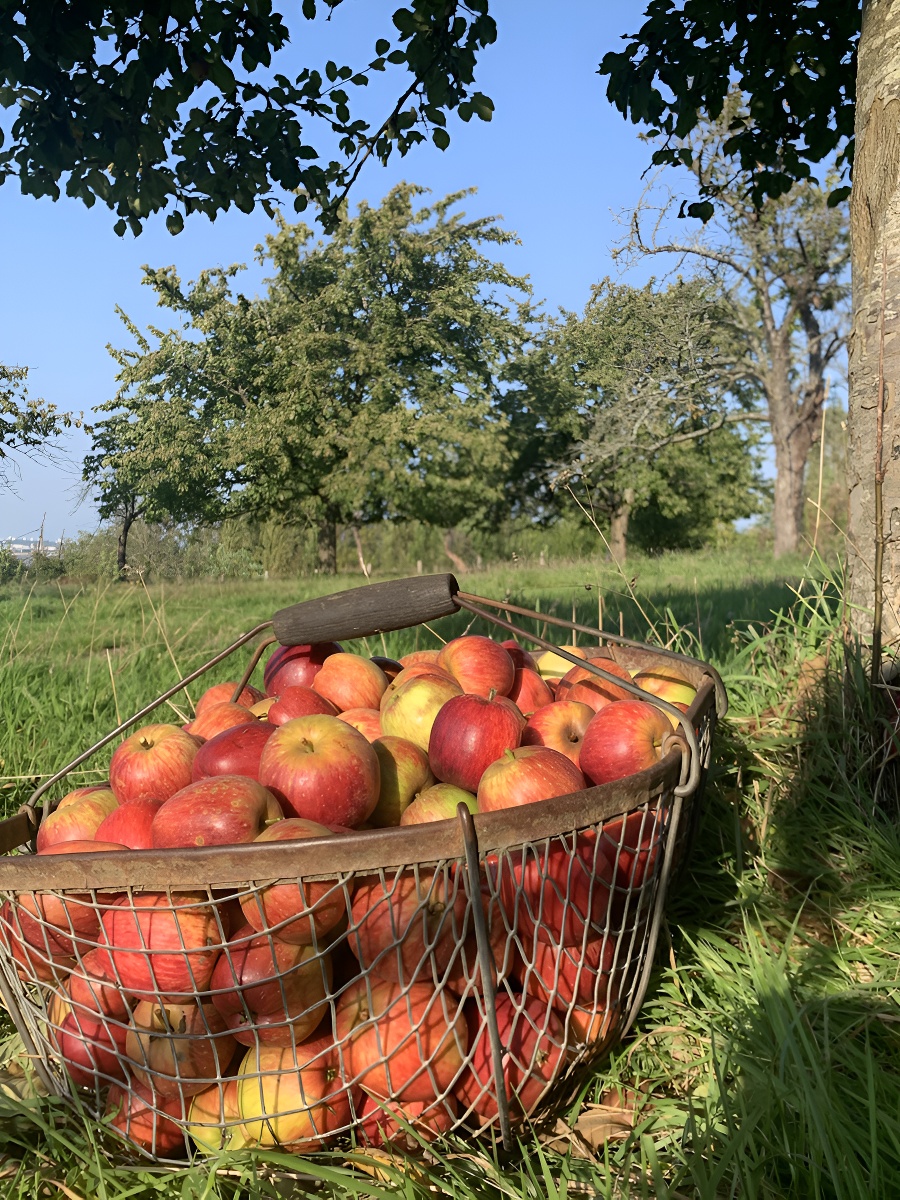 Ferme de La Bouillette