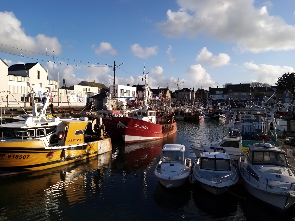 Le dada, Grandcamp-Maisy - photo 5