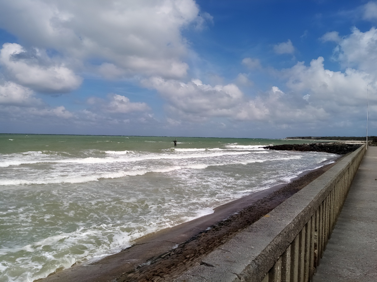 Le dada, Grandcamp-Maisy - photo 10