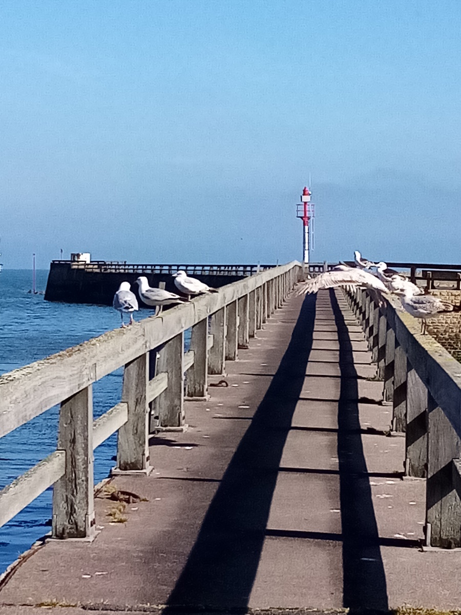 Le dada, Grandcamp-Maisy