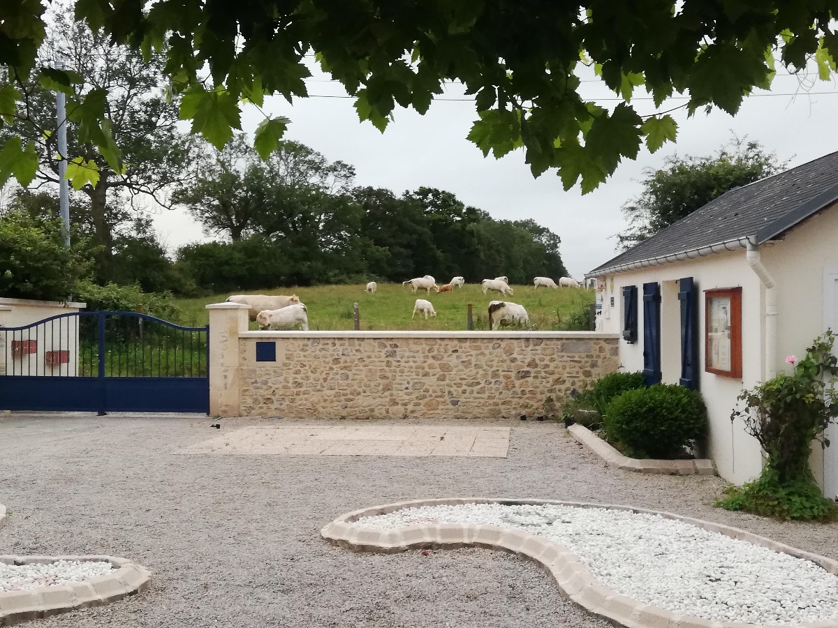 Perrette, Isigny-sur-Mer - photo 4