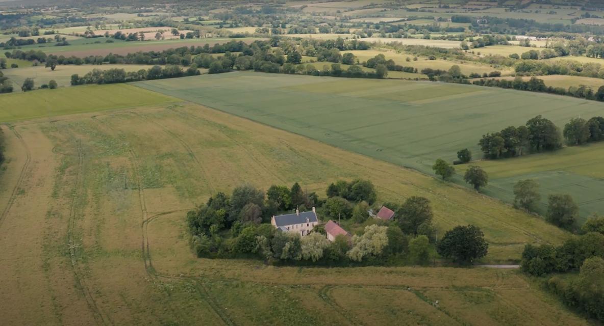 La Cour Souveraine, Mosles - photo 3