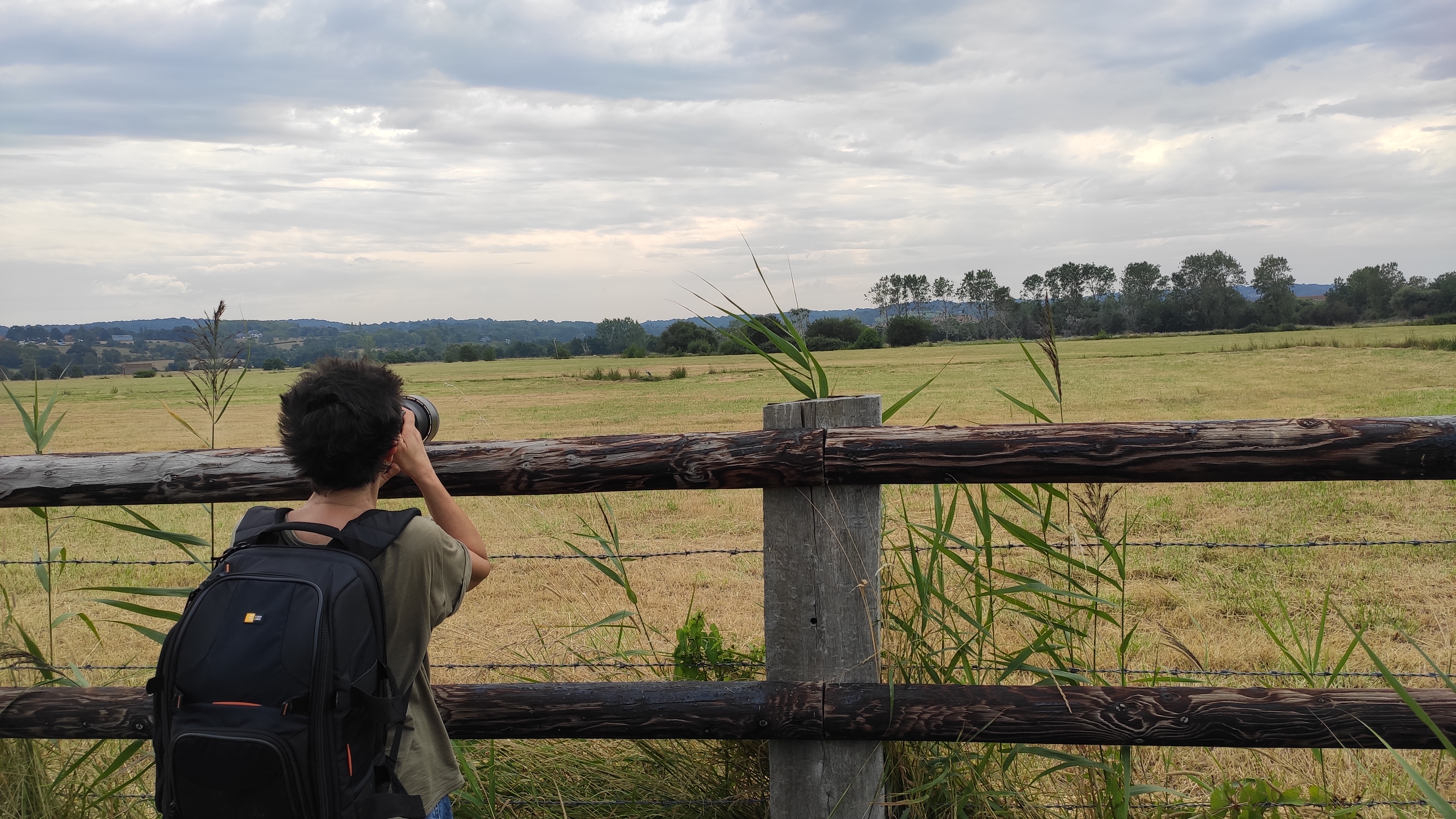 Les richesses du marais de Blonville-Villers, Villers-sur-Mer - photo 2