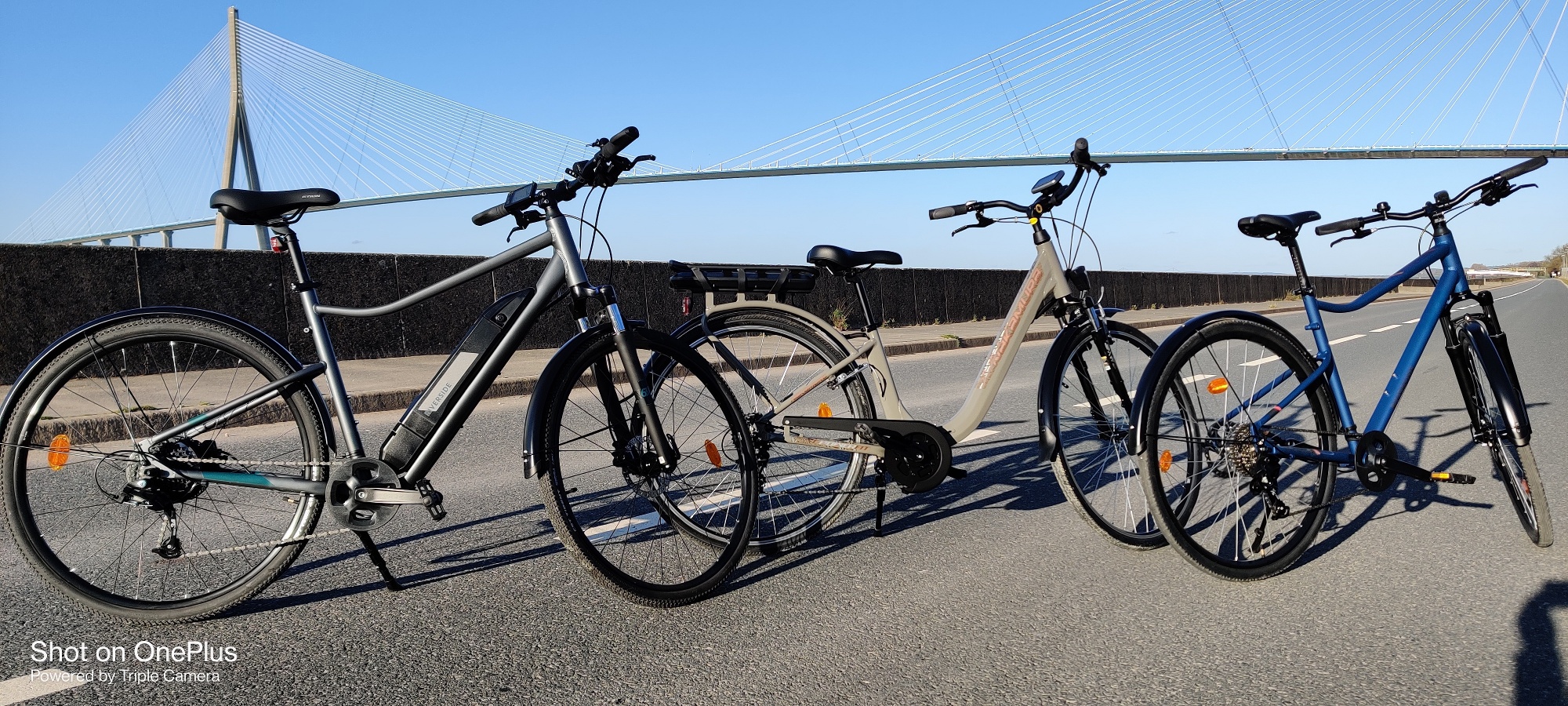 Location de vélos et visite guidée avec VEL'HONFLEUR
