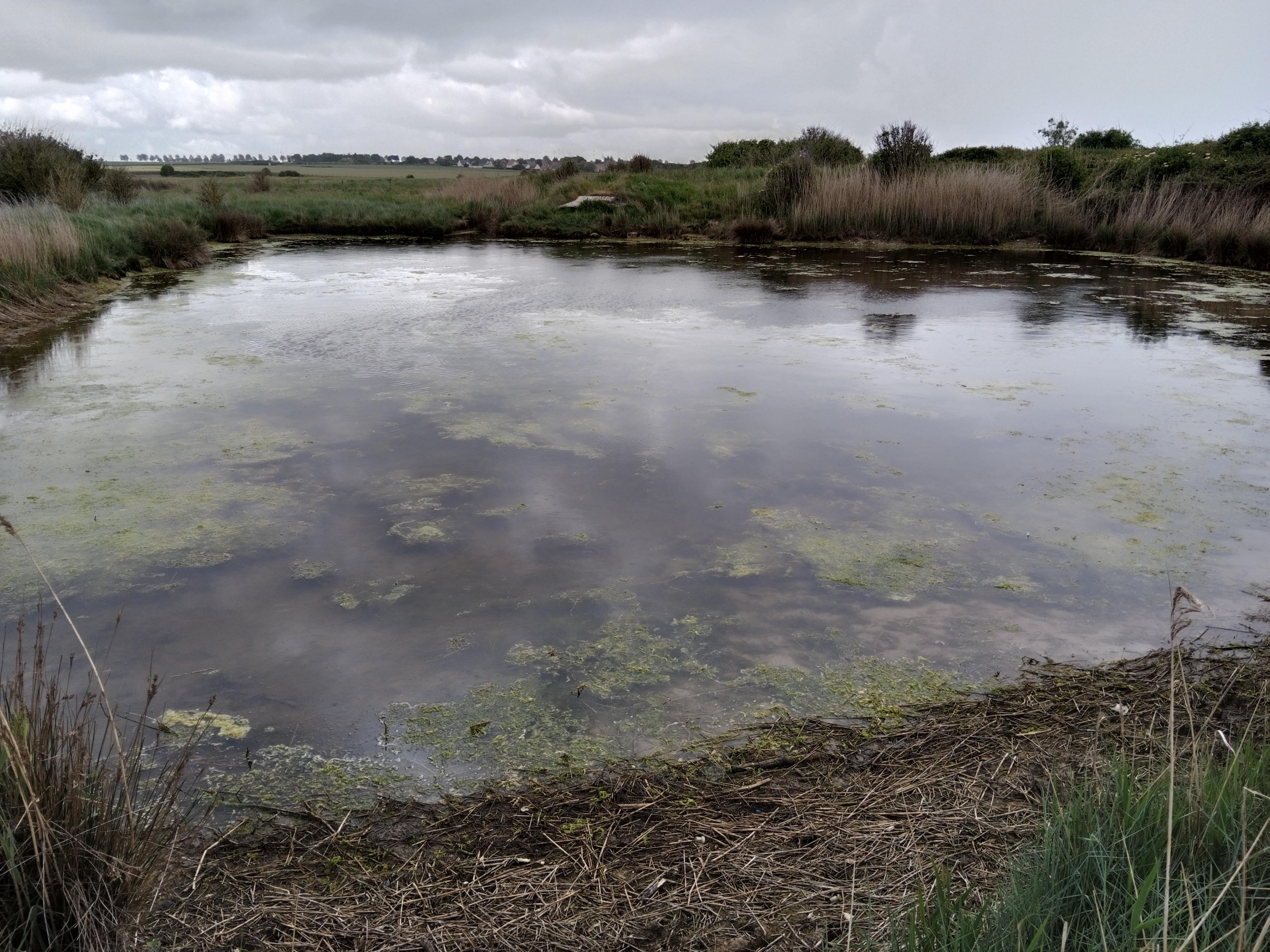 Les marais du Platon, du crépuscule à l'obscurité