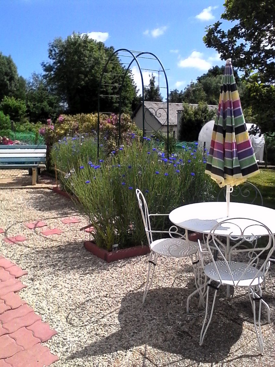 Chambre d'hôtes > La Colline Fleurie, Villedieu-les-Poêles-Rouffigny - photo 3