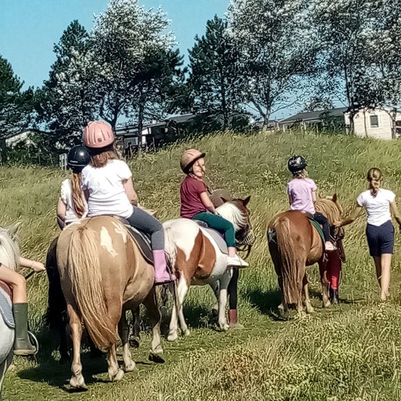 Le Poney Marin, Bréhal - photo 2