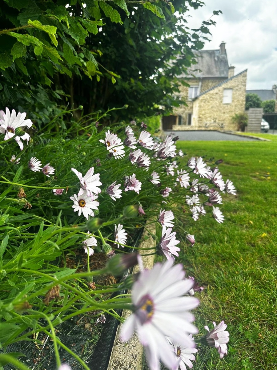 Le Biardais - Gites du Bessin, Balleroy-sur-Drôme - photo 4