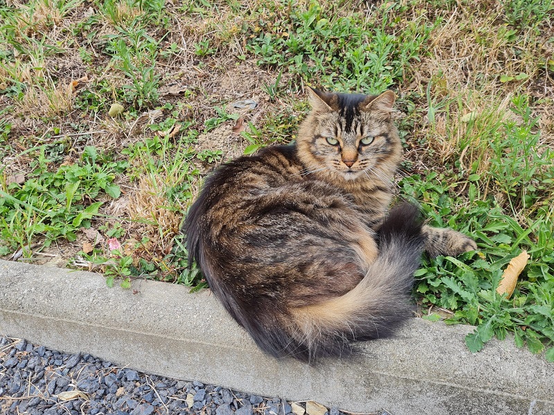 Chambre d'hôtes > La Petite Paumerie, Agneaux