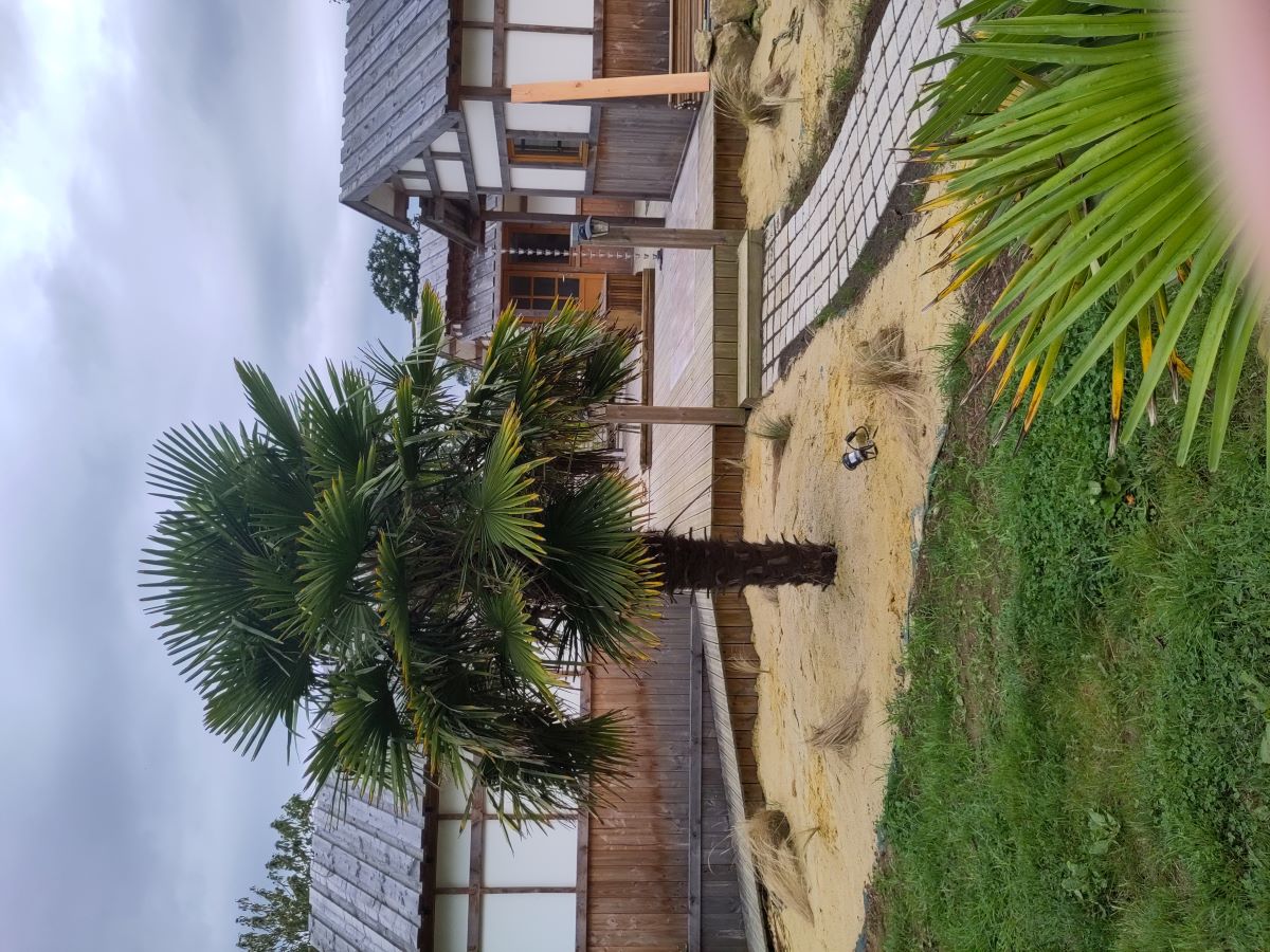 Hébergement insolite > Cabanes japonaises, La Chapelle-Cécelin - photo 5