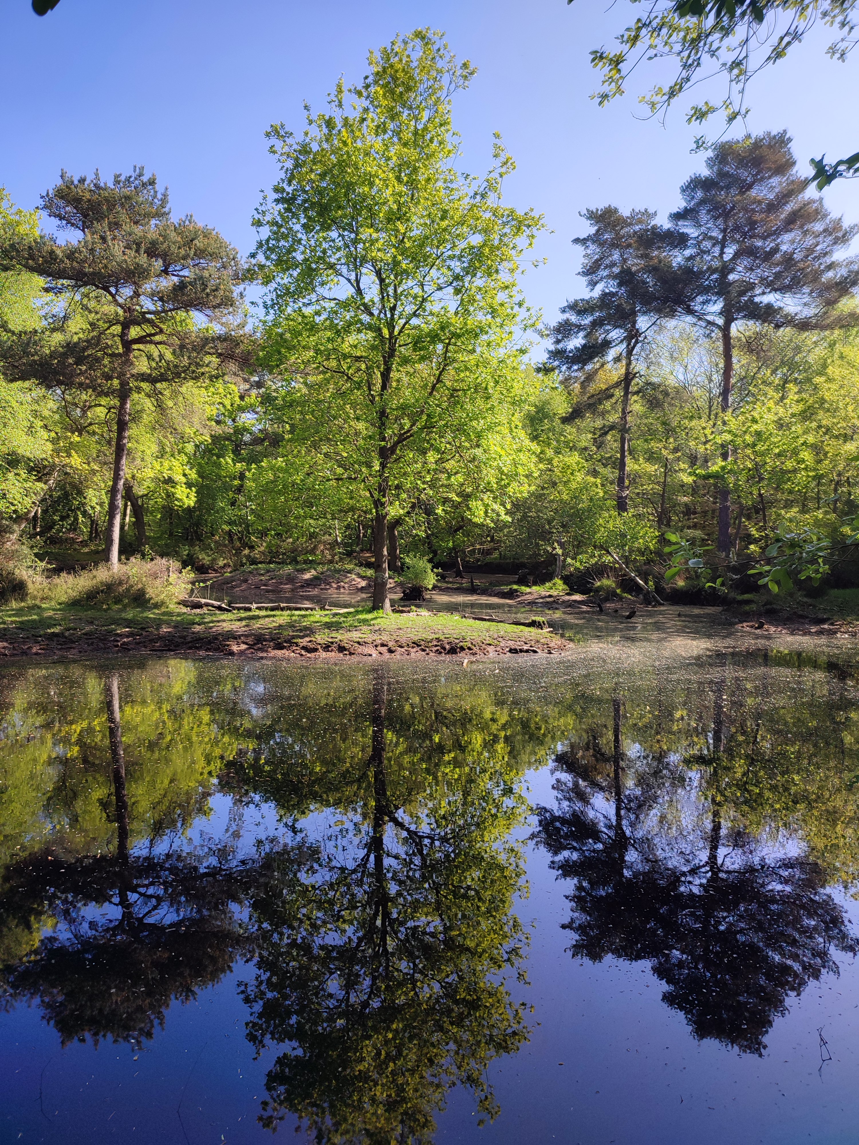 [Evènementiel Nature] Escape Game Nature - Le mystère des mares du Bois des Communes