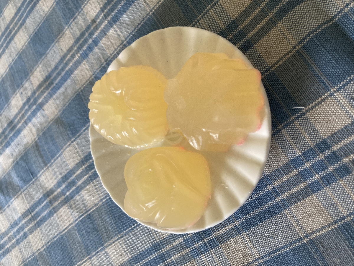 Atelier produits cosmétiques naturels l'Envie en vert