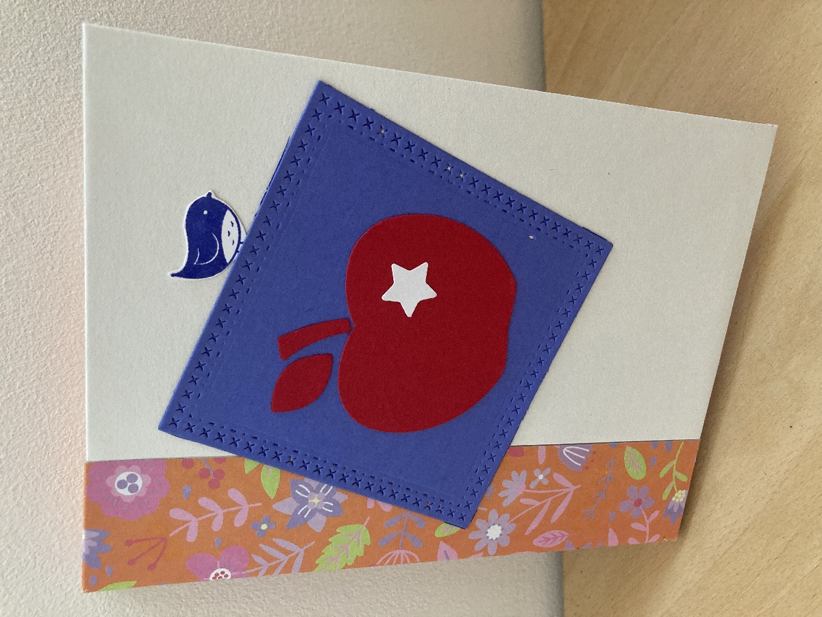 Atelier cartonnage l'Envie en Vert