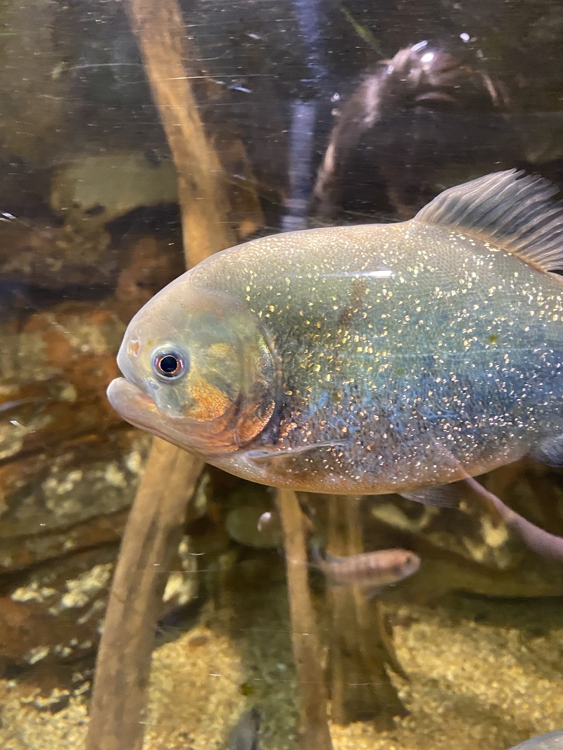 Au coeur du Roc - photo 5