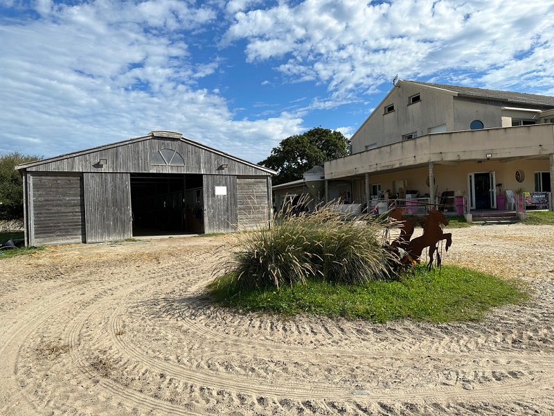 Centre Equestre de Kairon-Plage, Saint-Pair-sur-Mer - photo 4