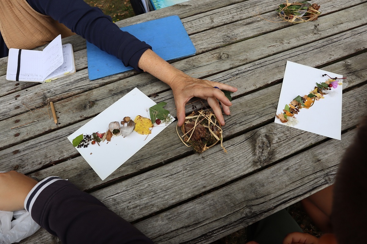 Découverte sensorielle de la haie et  création végétale