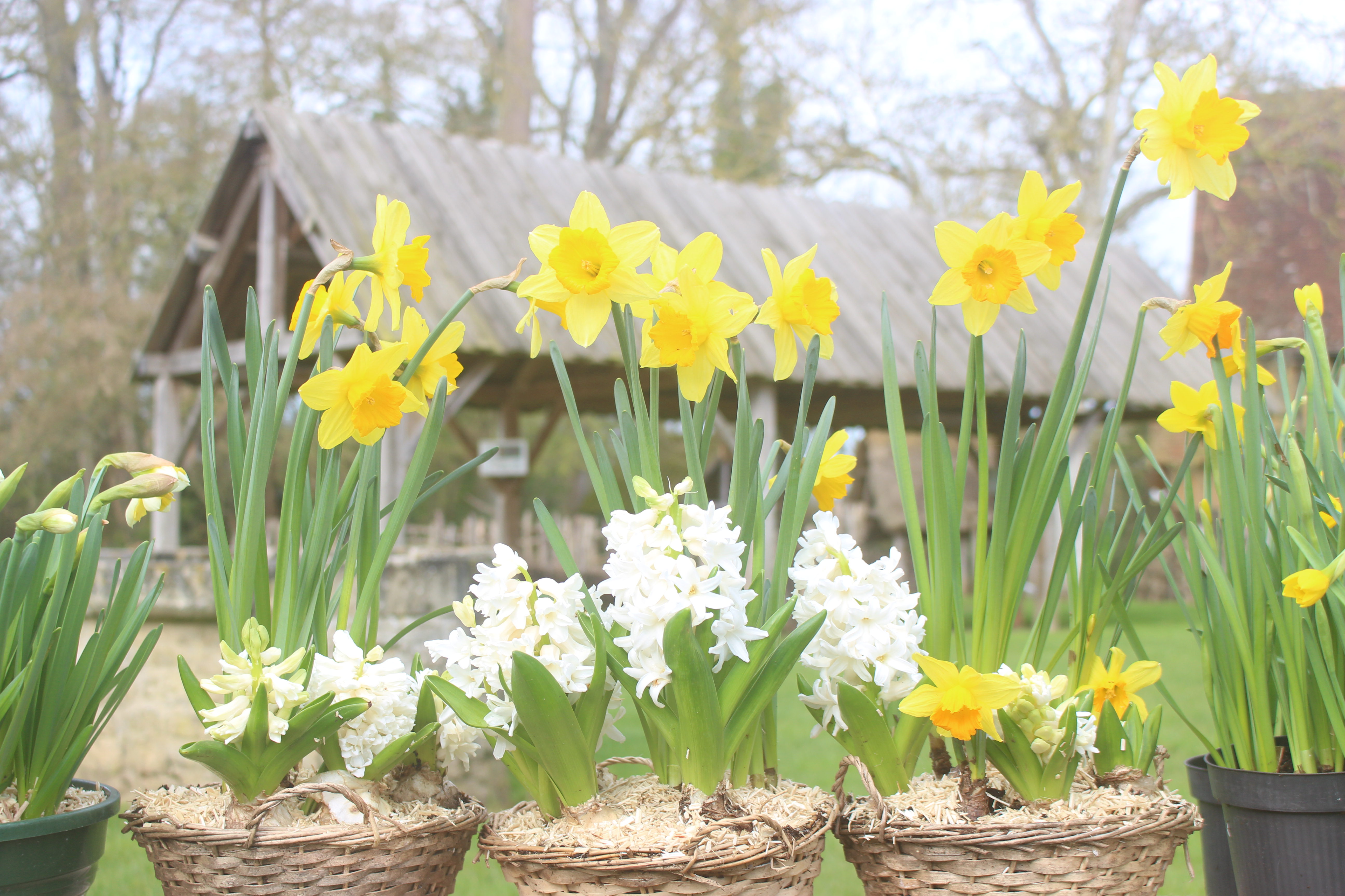 Le Jardin s&#039;invite au Château