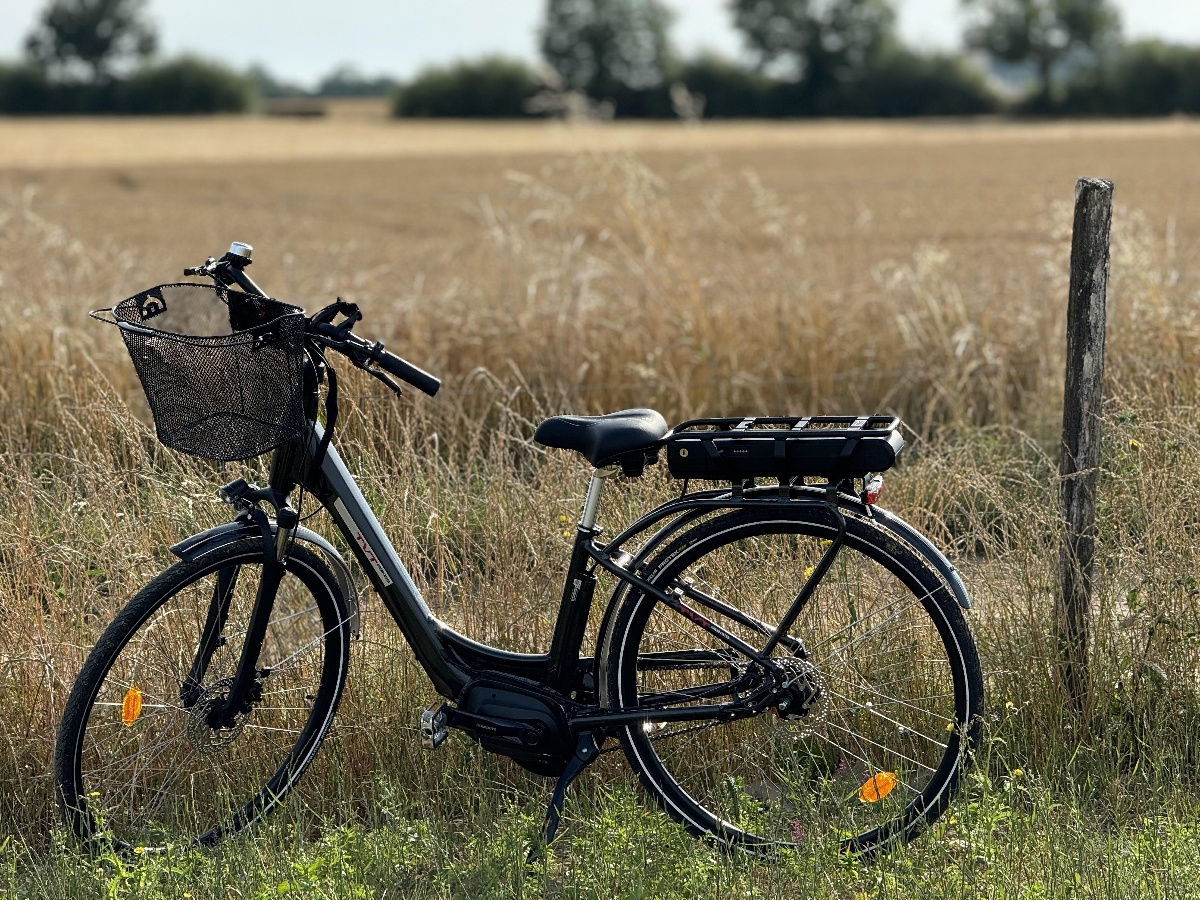 Location de vélos - Hyper U — photo 3