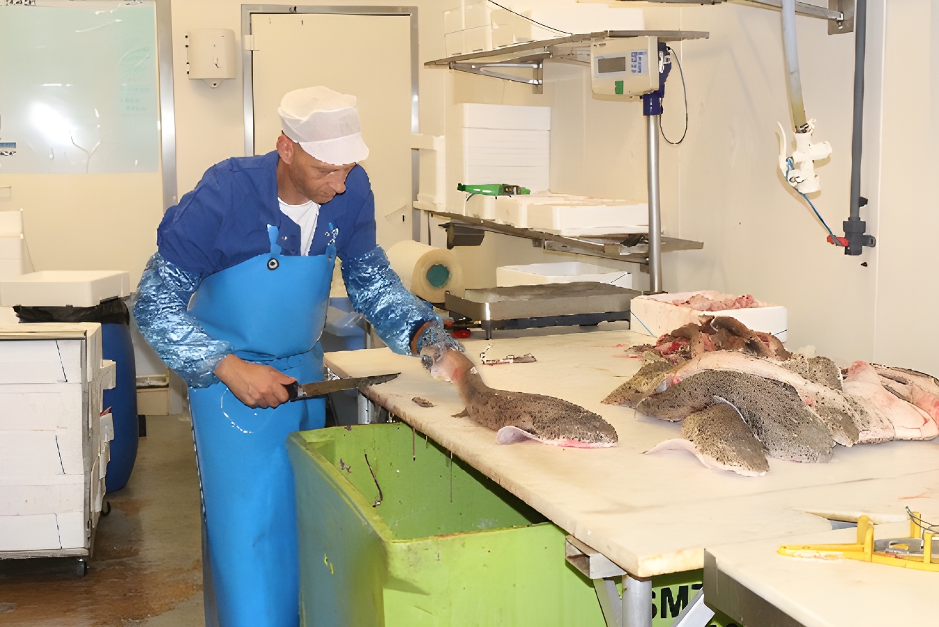 Centre culturel Léopold Sédar Senghor