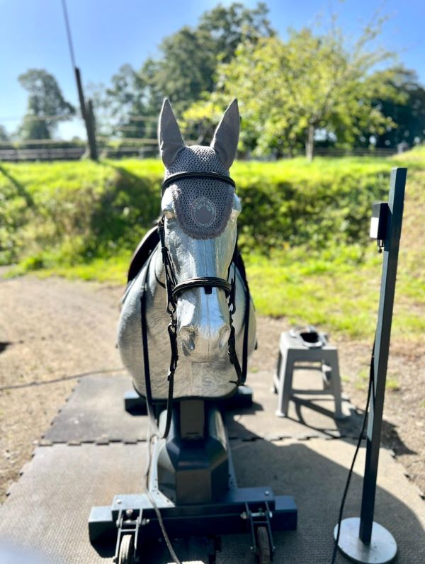 Association "Le cheval un guide vers l'équilibre et la liberté, La Lucerne-d'Outremer - photo 6