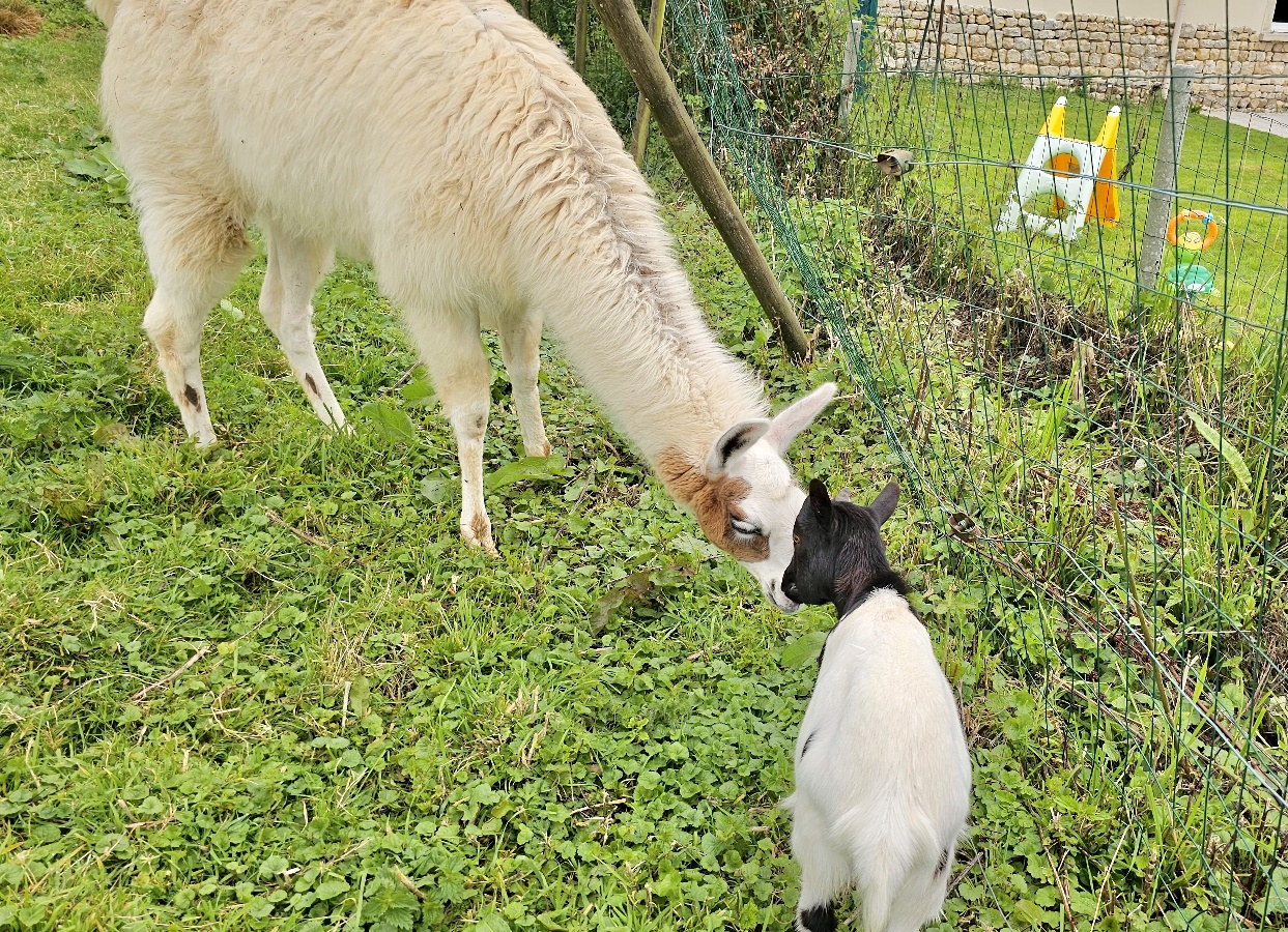 Le refuge, Isigny-sur-Mer - photo 6
